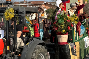 Carnevale Leinicese 064