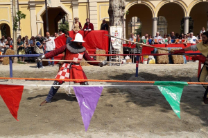Palio dei Borghi 20180617 11